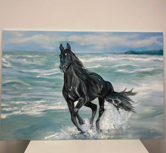 Ocean Reign